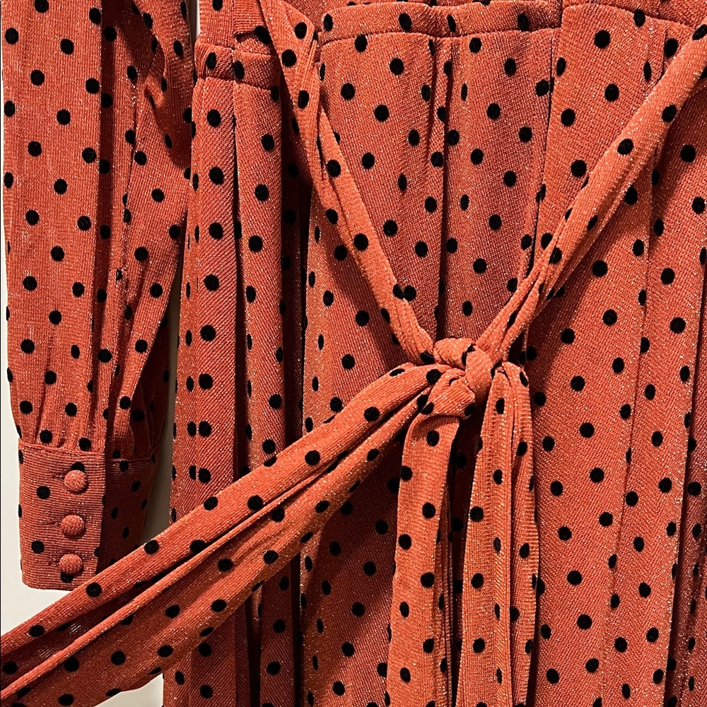 Unique Vintage Plus Size 1970s Rust & Black Polka Dot Farrah Maxi Dress - Picture 6 of 8